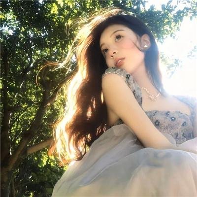 紫禁秘录